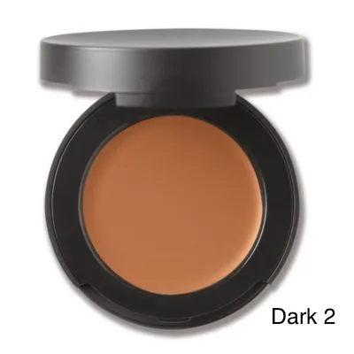 CORRECTING CONCEALER SPF 20