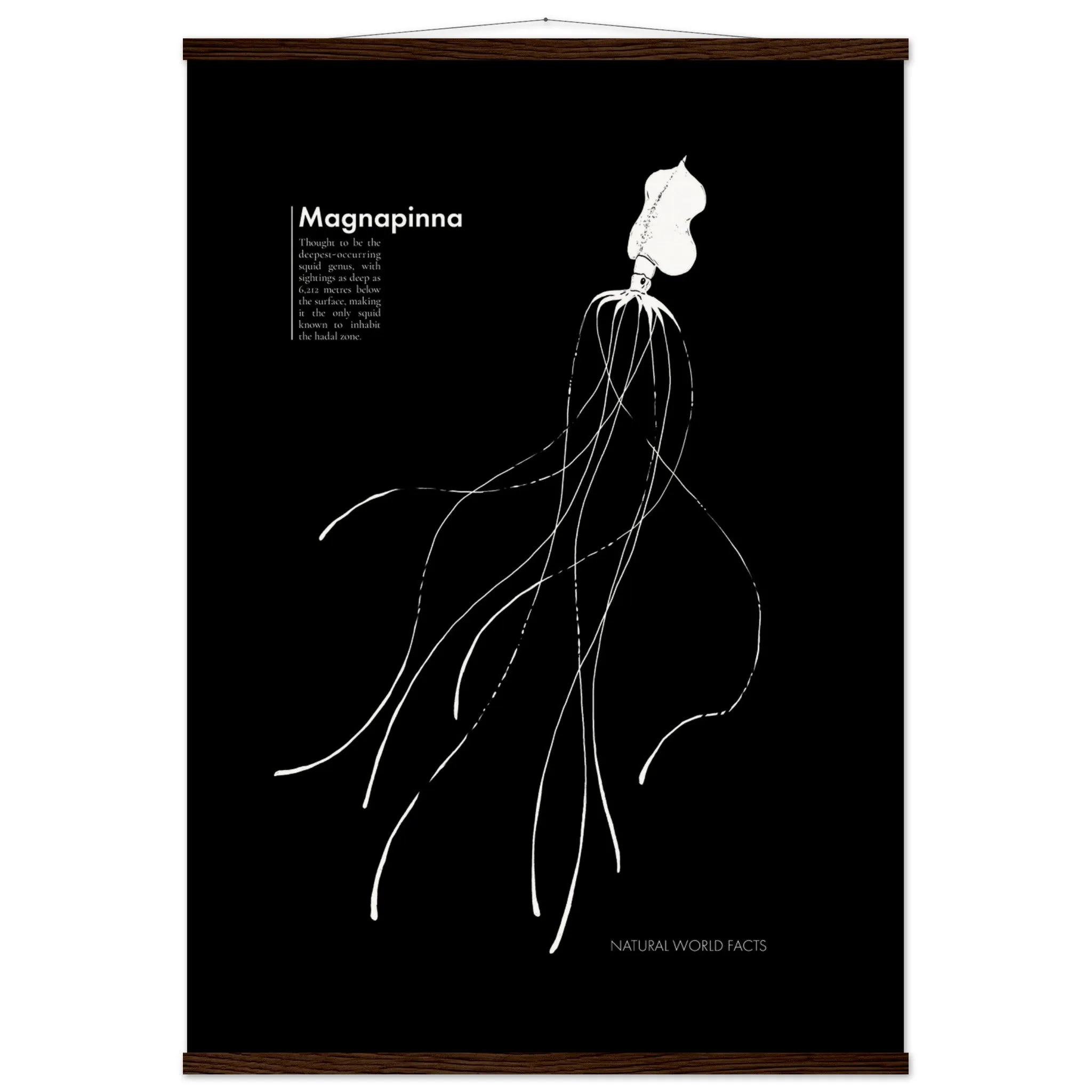 Magnapinna Hanging Poster (museum-quality wood frame)