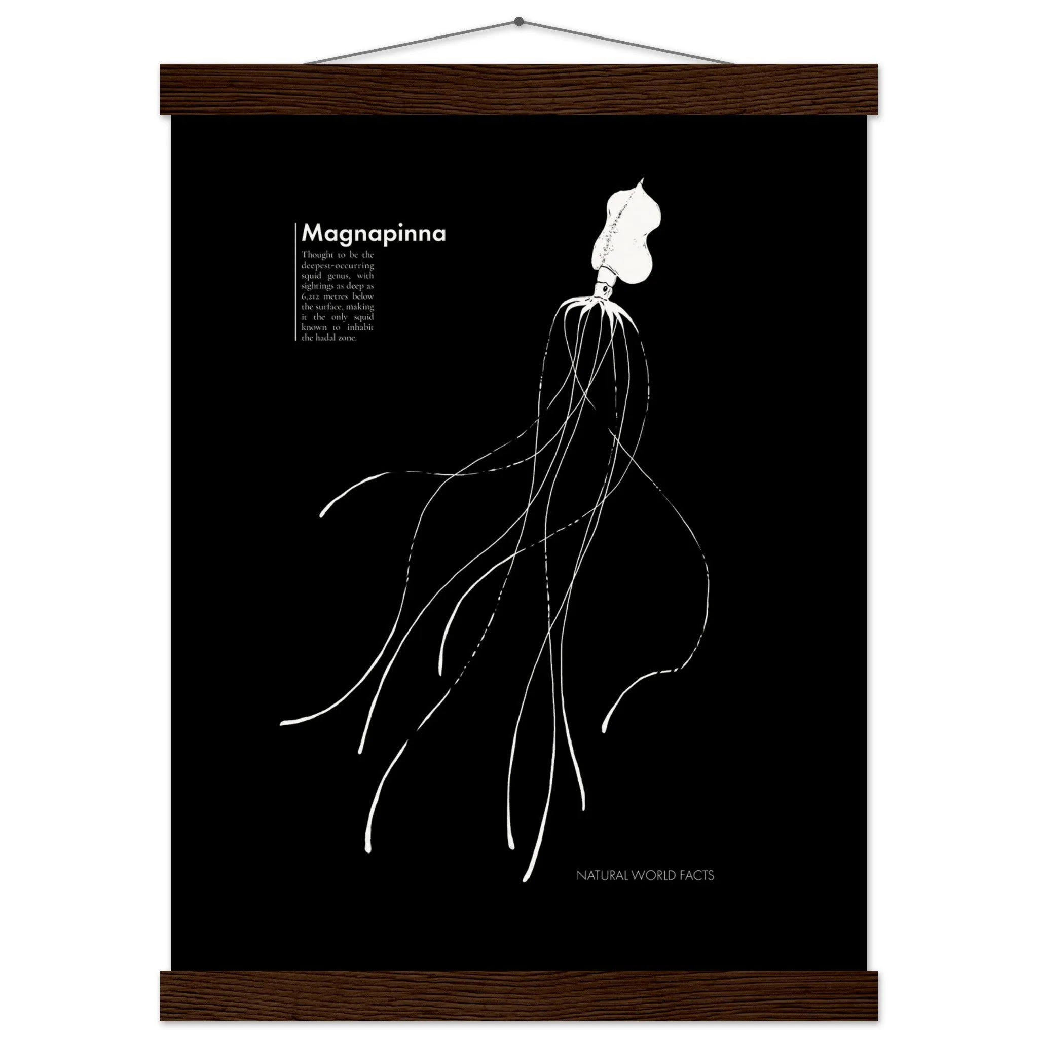 Magnapinna Hanging Poster (museum-quality wood frame)