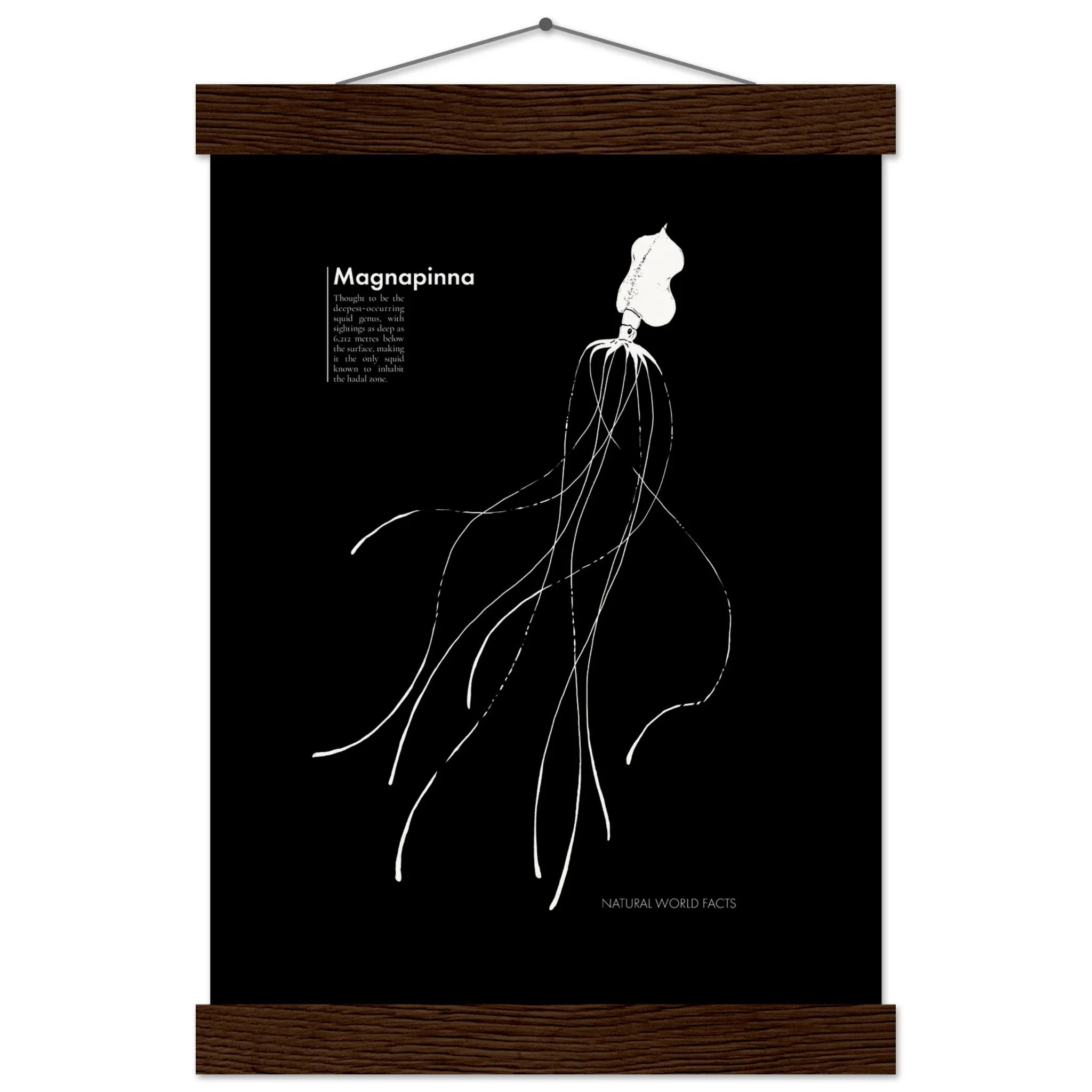 Magnapinna Hanging Poster (museum-quality wood frame)