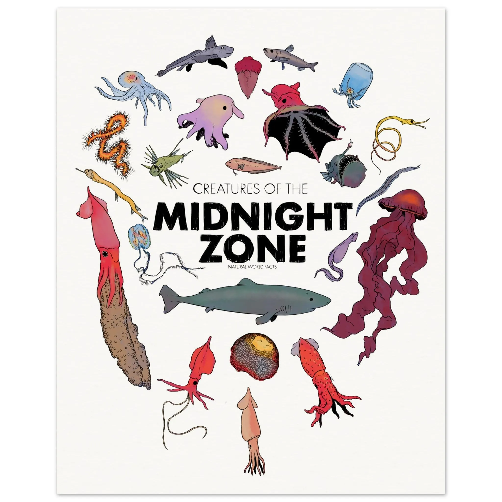 Midnight Zone Creatures Museum Poster