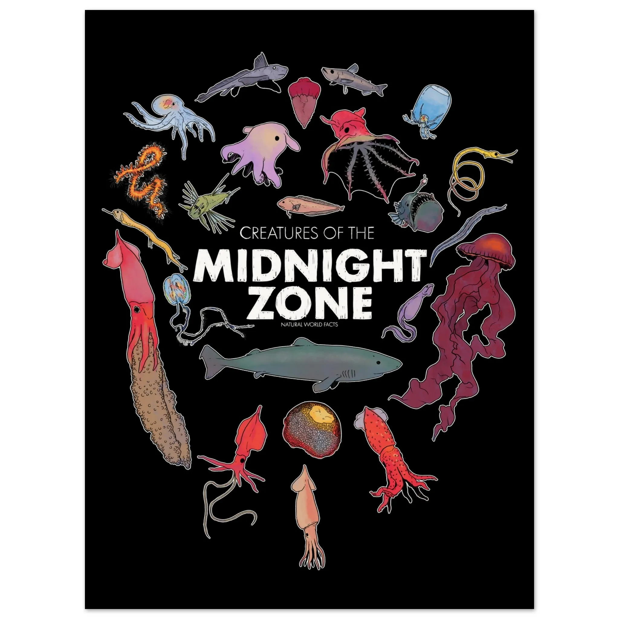 Midnight Zone Creatures - Museum-Quality Poster