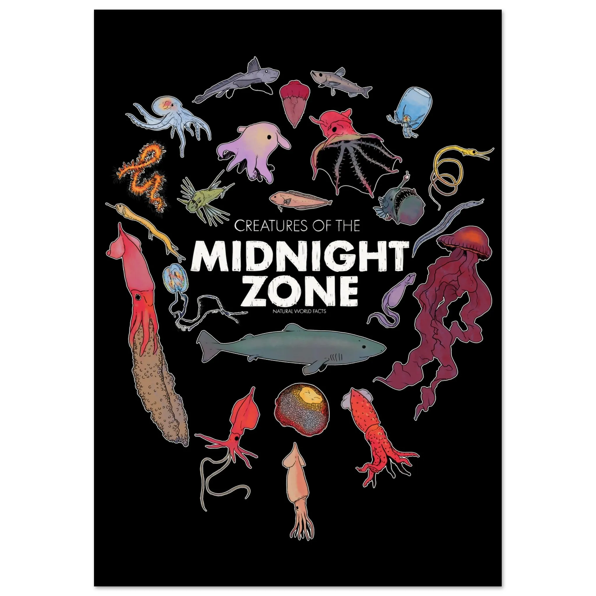 Midnight Zone Creatures - Museum-Quality Poster